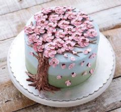 Icing & Cake Decorating